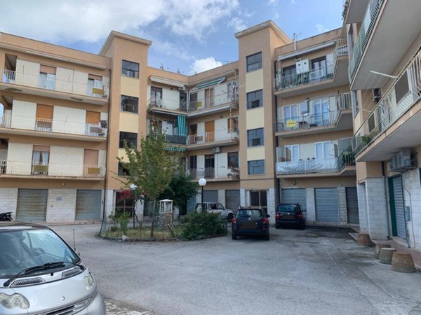appartamento in vendita a Rodi Garganico