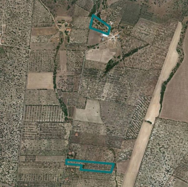 terreno agricolo in vendita a San Giovanni Rotondo