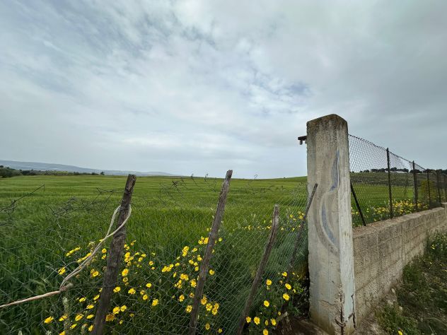 terreno agricolo in vendita a San Giovanni Rotondo