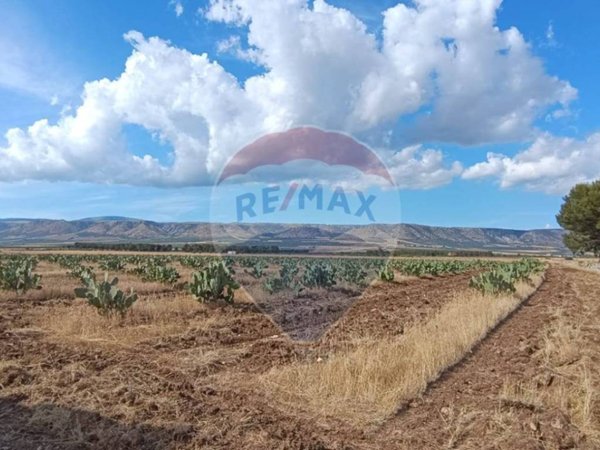 terreno agricolo in vendita a San Giovanni Rotondo