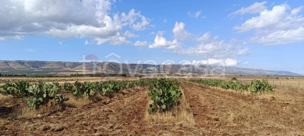 appartamento in vendita a San Giovanni Rotondo