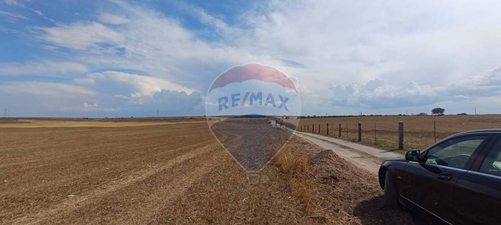 terreno agricolo in vendita a San Giovanni Rotondo