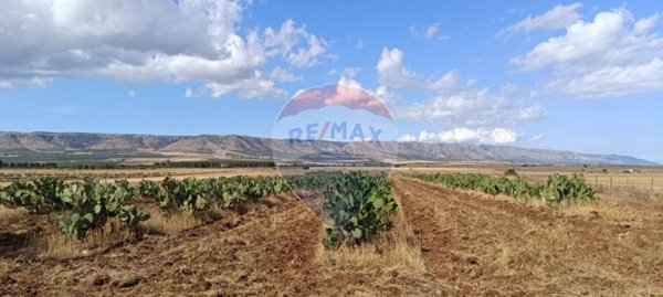 appartamento in vendita a San Giovanni Rotondo