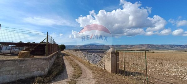 terreno agricolo in vendita a San Giovanni Rotondo