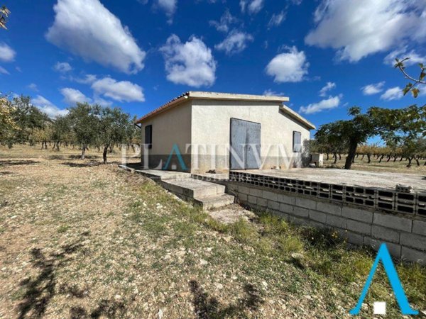 casa indipendente in vendita a San Giovanni Rotondo in zona Matine