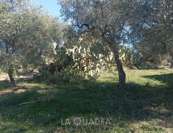 appartamento in vendita a San Giovanni Rotondo