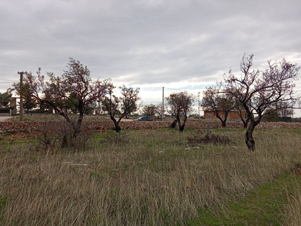 rudere in vendita a San Giovanni Rotondo