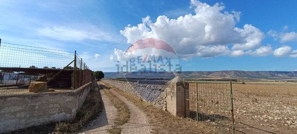 terreno agricolo in vendita a San Giovanni Rotondo