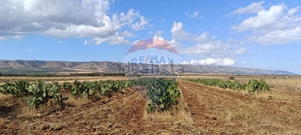 terreno agricolo in vendita a San Giovanni Rotondo