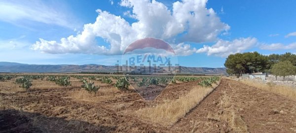 terreno agricolo in vendita a San Giovanni Rotondo