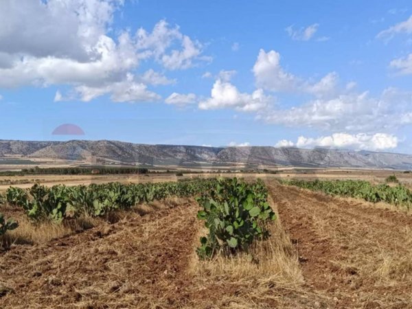 terreno agricolo in vendita a San Giovanni Rotondo