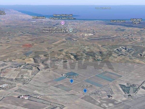 terreno agricolo in vendita a San Giovanni Rotondo