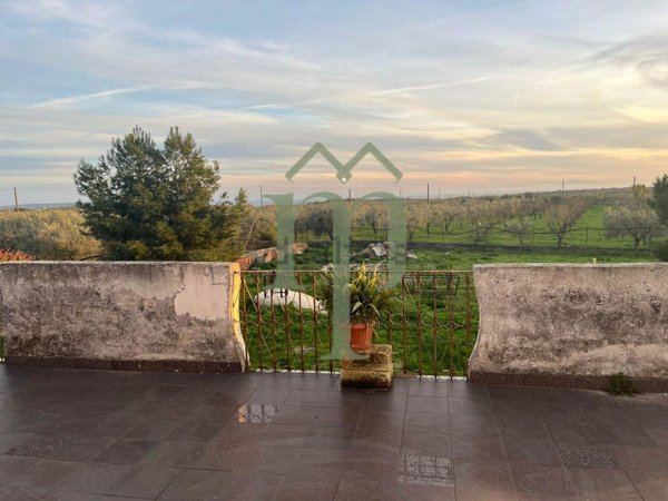 esavano in vendita a San Giovanni Rotondo