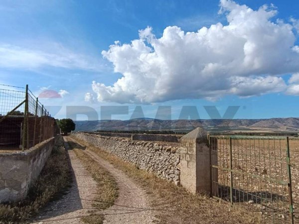terreno agricolo in vendita a San Giovanni Rotondo