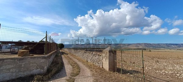 terreno agricolo in vendita a San Giovanni Rotondo