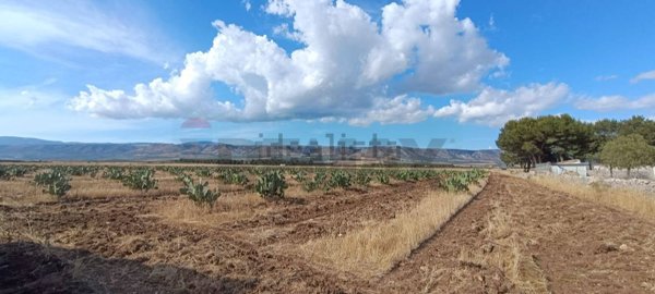 terreno agricolo in vendita a San Giovanni Rotondo