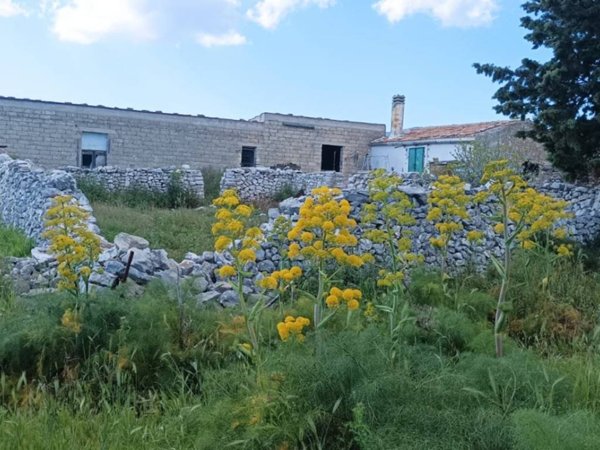casa indipendente in vendita a San Giovanni Rotondo