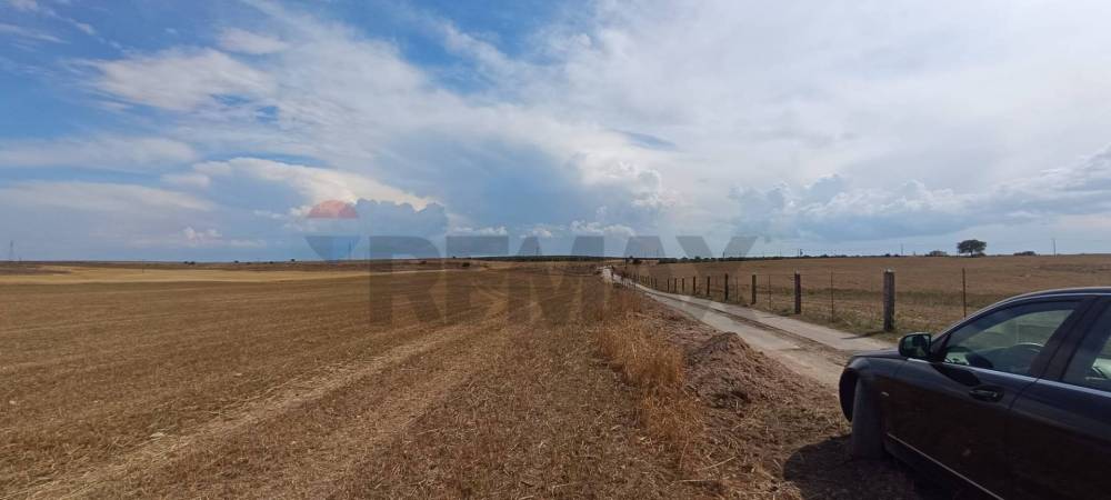 terreno agricolo in vendita a San Giovanni Rotondo