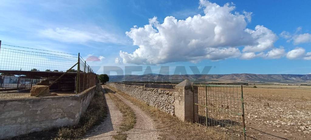 terreno agricolo in vendita a San Giovanni Rotondo