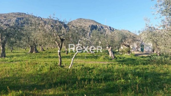 terreno agricolo in vendita a San Giovanni Rotondo