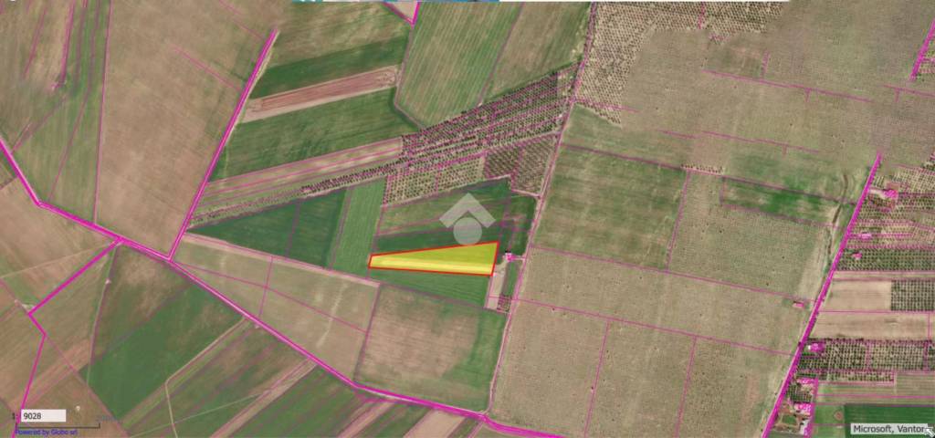 terreno agricolo in vendita a San Giovanni Rotondo