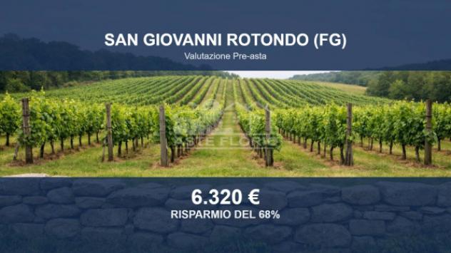 terreno agricolo in vendita a San Giovanni Rotondo