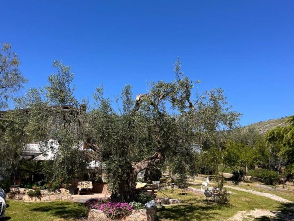 casa indipendente in vendita a San Giovanni Rotondo
