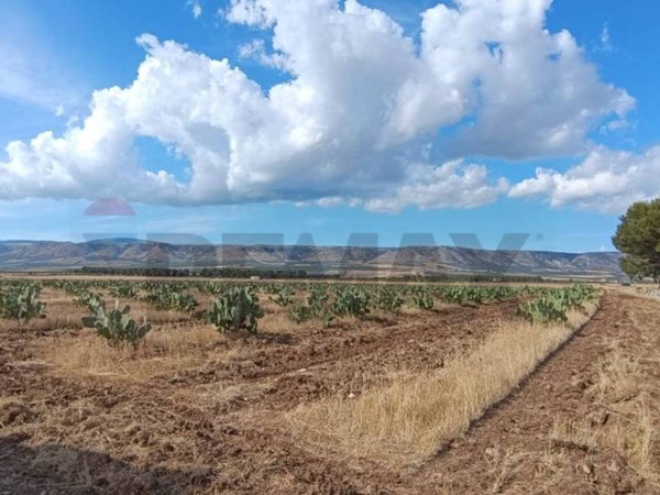 terreno agricolo in vendita a San Giovanni Rotondo in zona Matine