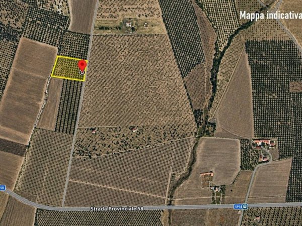 terreno agricolo in vendita a San Giovanni Rotondo in zona Matine