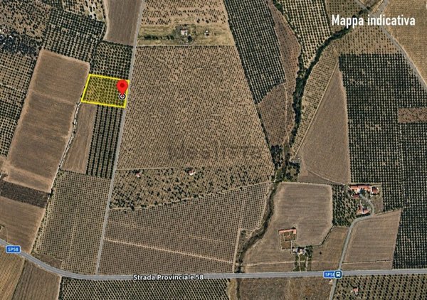 terreno agricolo in vendita a San Giovanni Rotondo in zona Matine