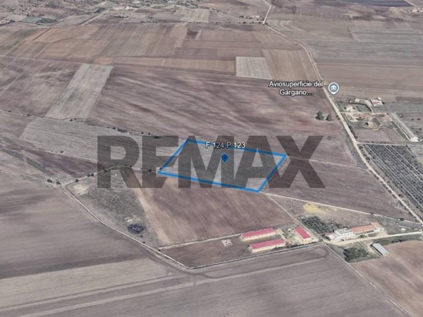 terreno agricolo in vendita a San Giovanni Rotondo in zona Matine