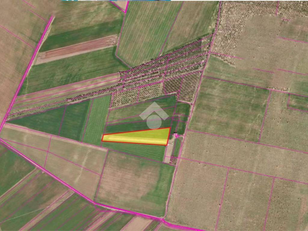 terreno agricolo in vendita a San Giovanni Rotondo in zona Matine