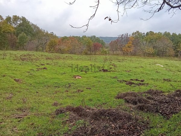 appartamento in vendita a San Marco in Lamis