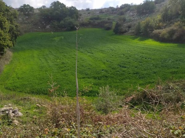 terreno agricolo in vendita a San Marco in Lamis