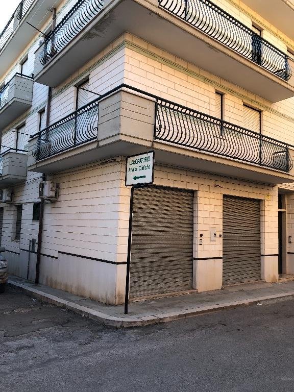appartamento in vendita a San Nicandro Garganico