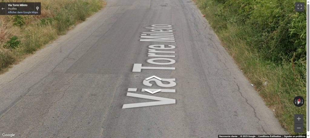 terreno agricolo in vendita a San Nicandro Garganico