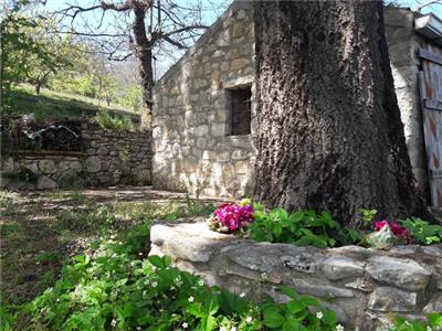 casa semindipendente in vendita a San Nicandro Garganico