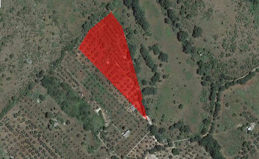terreno agricolo in vendita a San Nicandro Garganico