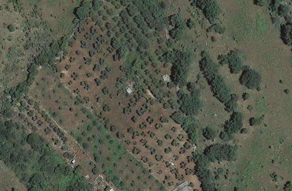 terreno agricolo in vendita a San Nicandro Garganico
