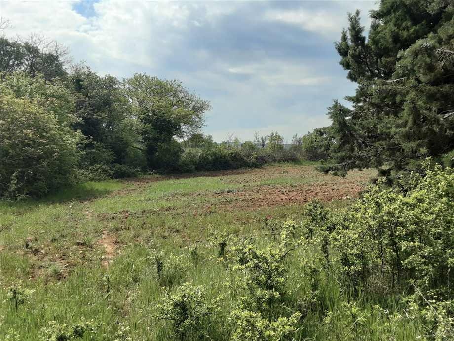 terreno agricolo in vendita a San Nicandro Garganico