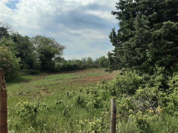 terreno agricolo in vendita a San Nicandro Garganico