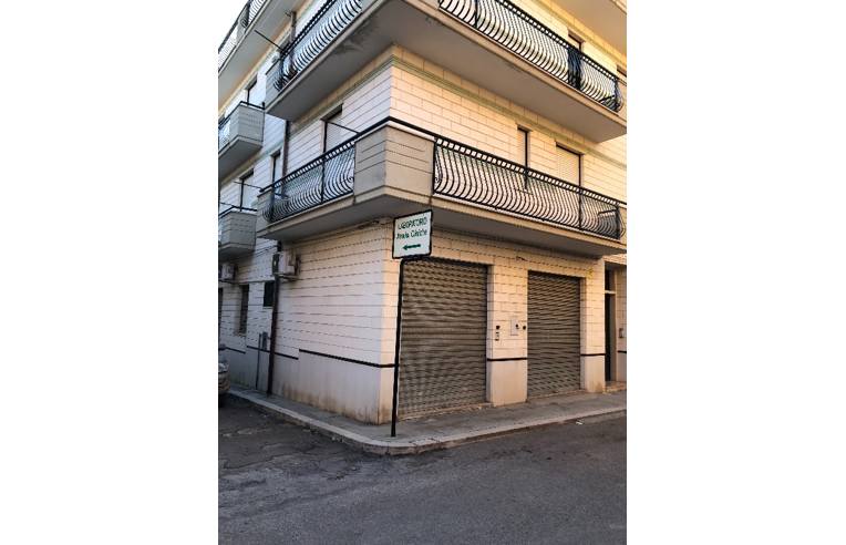 appartamento in vendita a San Nicandro Garganico