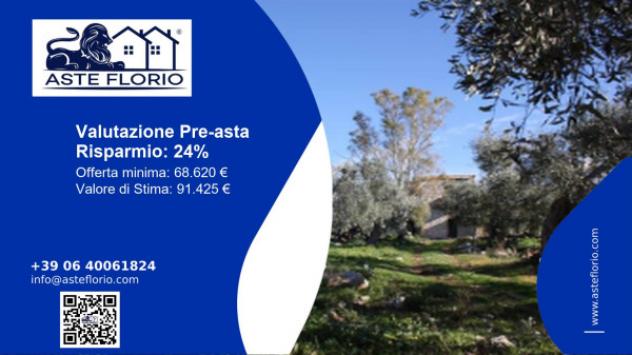 terreno agricolo in vendita a San Nicandro Garganico