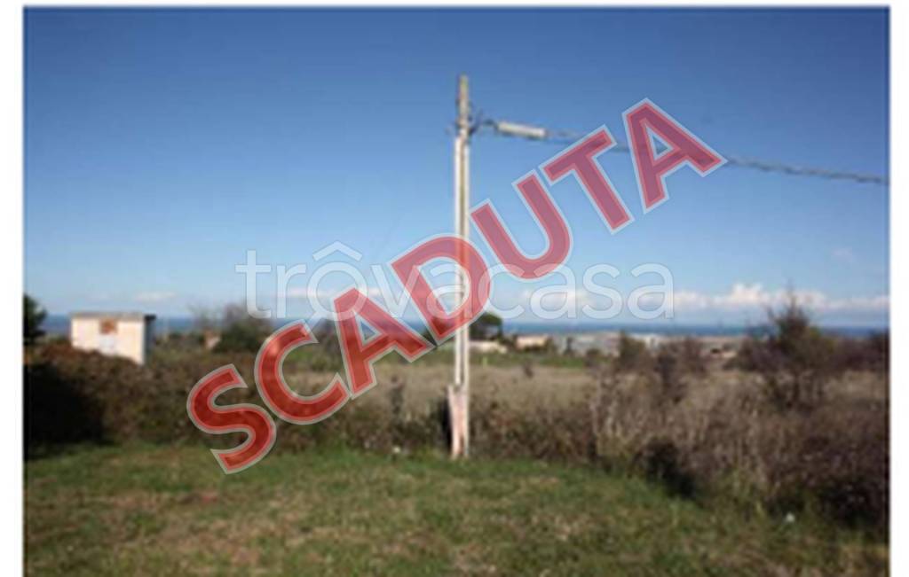 terreno agricolo in vendita a San Nicandro Garganico