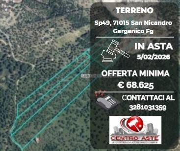 casa indipendente in vendita a San Nicandro Garganico