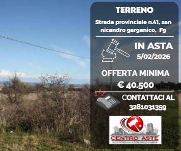 terreno agricolo in vendita a San Nicandro Garganico