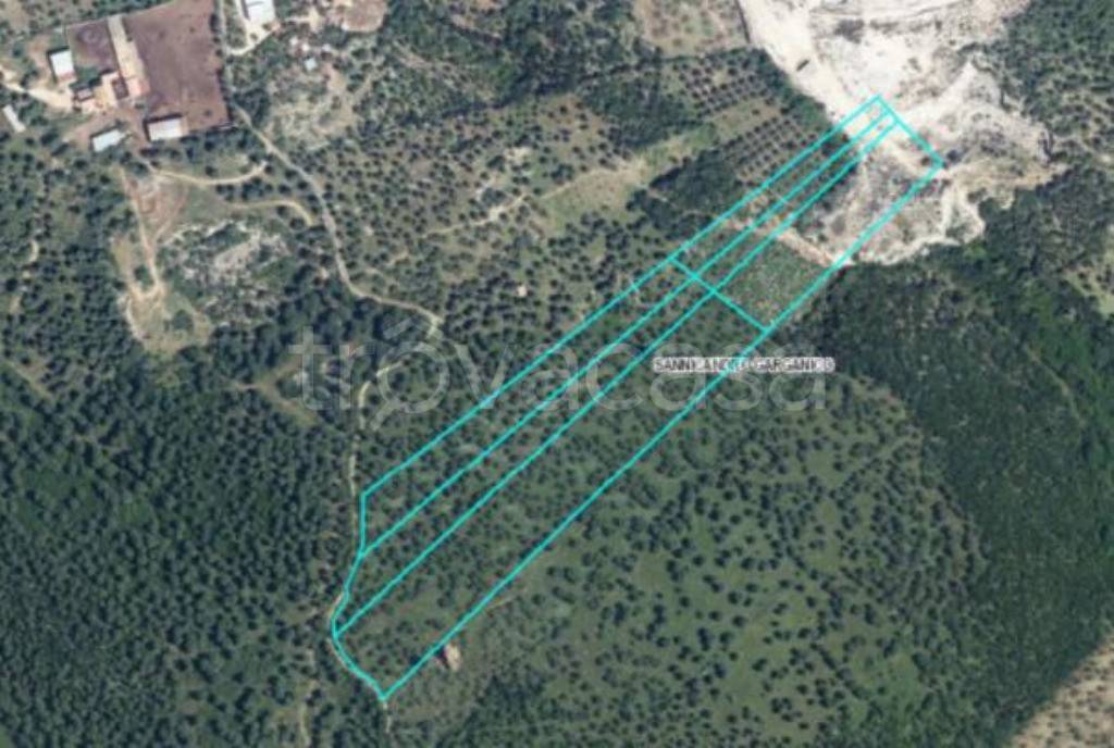 terreno agricolo in vendita a San Nicandro Garganico