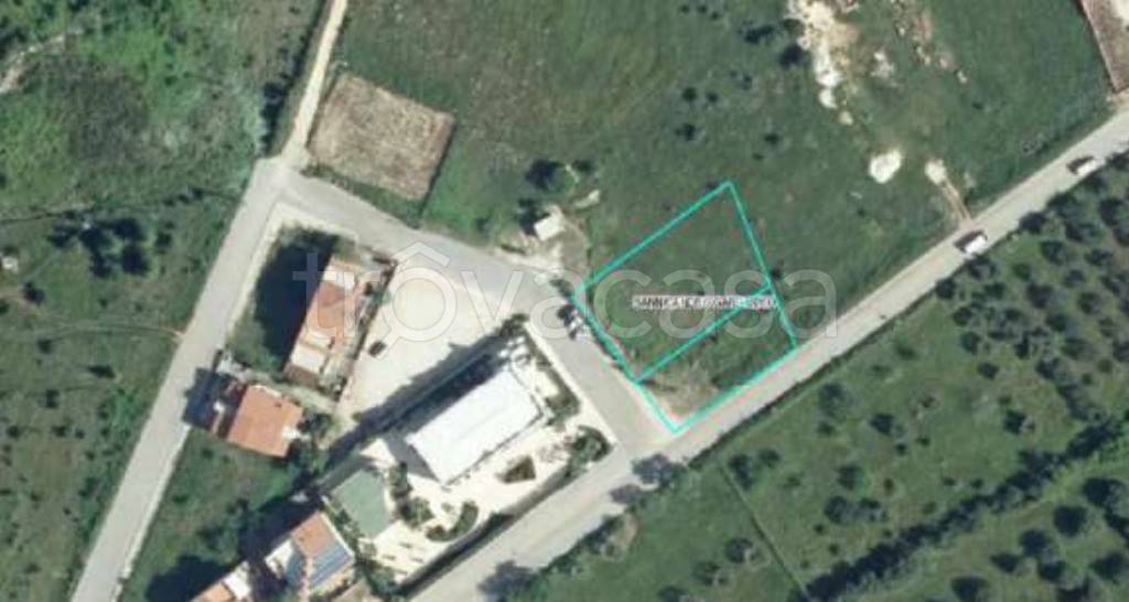 terreno agricolo in vendita a San Nicandro Garganico