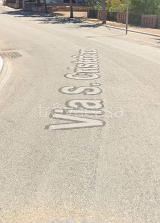 terreno agricolo in vendita a San Nicandro Garganico