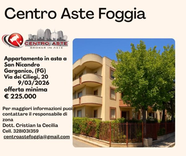 appartamento in vendita a San Nicandro Garganico